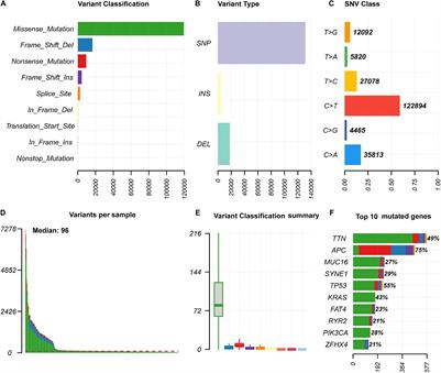 Correlations Between Tumor Mutation Burden and Immunocyte Infiltration and Their Prognostic Value in Colon Cancer